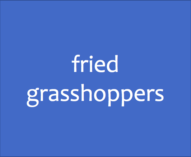 fried grasshoppers